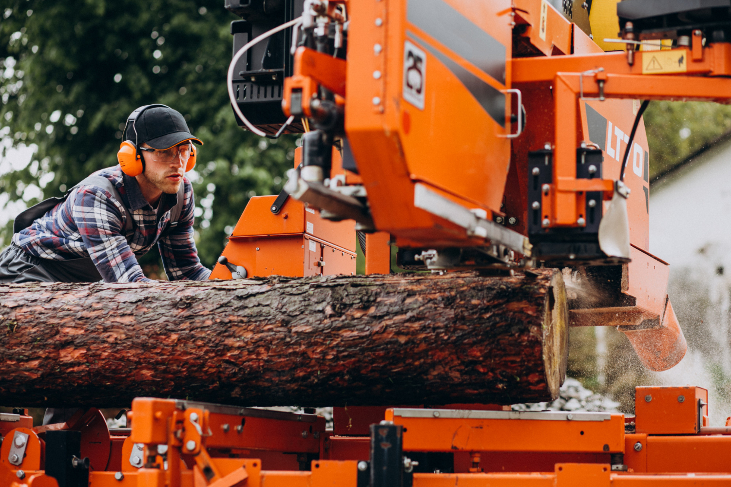 How Crane Services Make Tree Removal Safer